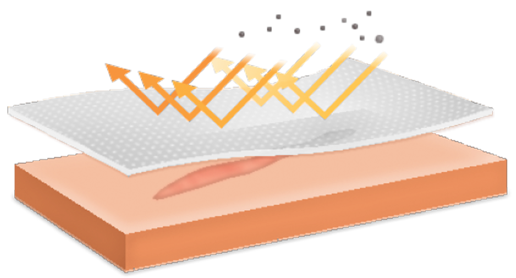 Rystora scar sheet